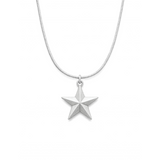 Estra Star Necklace