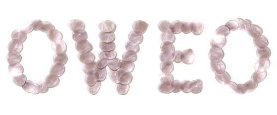 OWEO logo