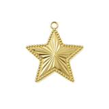 Aster Star Charm