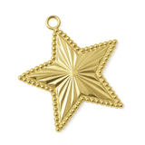 Aster Star Charm